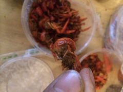 百味手拨龙虾馆(愚园路总店)-百味手拨龙虾馆(愚园路店)