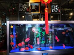 -百岁我家·酸菜鱼专门店(塘下店)