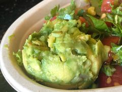 牛油果-油梨树AVOCADO TREE(顺义新国展店)