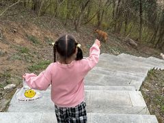 -大金山风景区