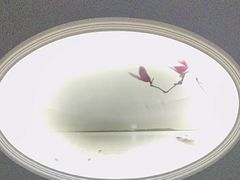 -水墨澜渟足道·SPA·传统(四望亭东关街店)