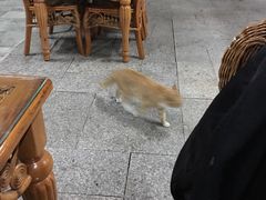 -龙达温泉生态城