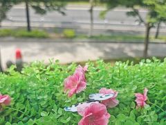-宝荣鱼馆·临湖之宴(千岛湖店)