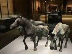 -邯郸市博物馆(新馆)