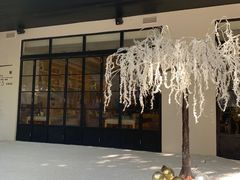 -T館·花园艺术餐厅