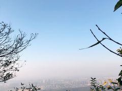 -紫金山索道-售票处