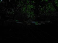 -峡谷浮石林景区