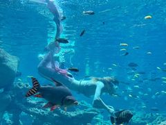 -长鹿旅游休博园