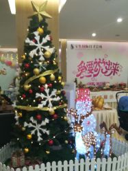 -宝生月子中心·独栋独院式(南山店)