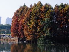 -厦门园林博览苑
