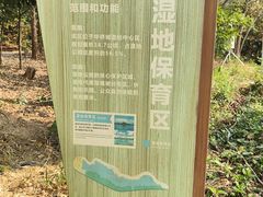 -华侨城湿地公园