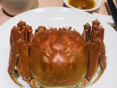 -王宝和酒家(黄浦店)