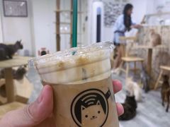 -楼上猫咖(罗湖店)
