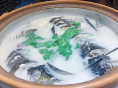 千岛湖鱼头-千岛湖小鱼儿·淳安匠心农家菜