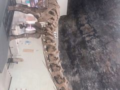 -中华赏石园