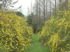 -成都南湖公园