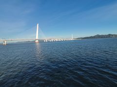 -深圳湾公园(南山区)