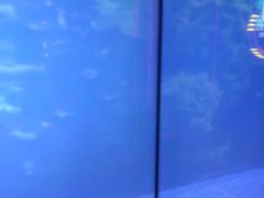 -温莎KTV(珠江路店)