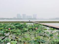 -暨阳湖生态园