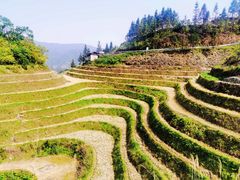 -龙脊梯田