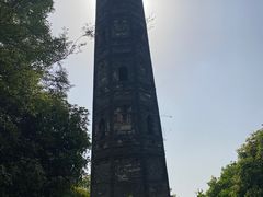 -上海佘山国家森林公园天马山园