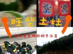 -旺柴土灶农家菜(广宁百花广场商业步行街店)