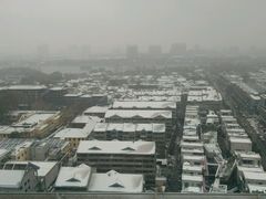 -梧桐餐厅(泉城路店)