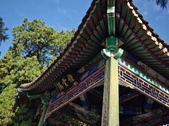 -香山公园