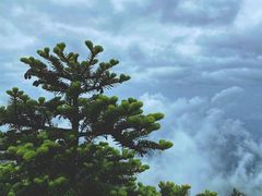 -终南山国家森林公园