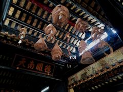 -姚林轩