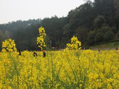 -韶山毛泽东同志故居