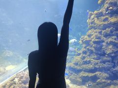 -江和美海洋公园