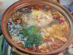 阳山骟鸡-威邵鸡煲(西华路总店)