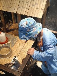 -酷嗒动物文化乐园(cutezoo西溪乐天城店)