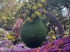 -杭州植物园