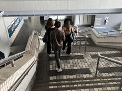 -香港大学
