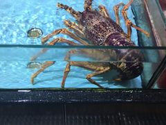 -渔民新村(番禺总店)