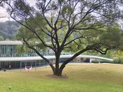 -云溪植物园