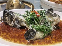 清蒸东星斑-明香海鲜酒家(华强北店)