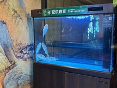 -肆月河豚·淮扬菜·湘菜(华天店)