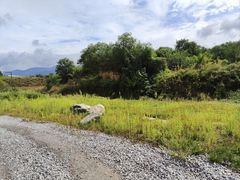 -秦始皇帝陵博物院-丽山园