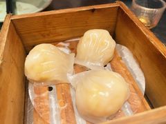 -潮界(虹桥新天地店)