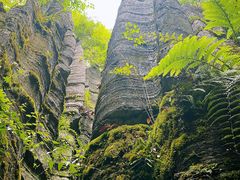 -梭布垭石林景区