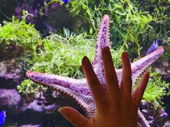 -郑州海洋馆