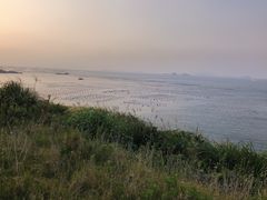 -枸杞岛