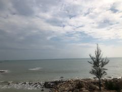 -广东惠东海龟国家级自然保护区