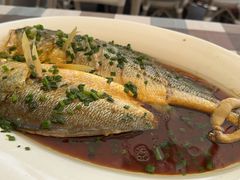 -魚當家