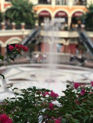 -奇幻丛林(佛罗伦萨小镇店)