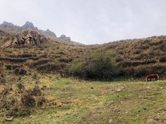 -灵山