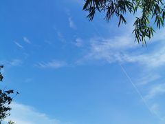 -大湾区中央湿地公园